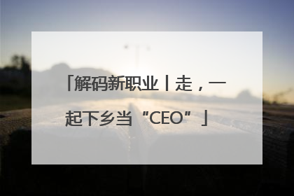 解码新职业丨走，一起下乡当“CEO”
