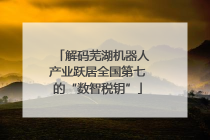 解码芜湖机器人产业跃居全国第七的“数智税钥”