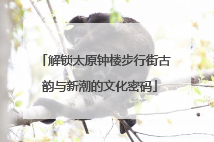 解锁太原钟楼步行街古韵与新潮的文化密码