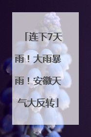 连下7天雨！大雨暴雨！安徽天气大反转