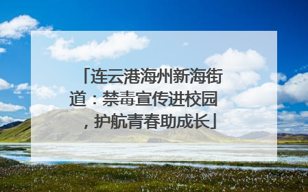 连云港海州新海街道：禁毒宣传进校园，护航青春助成长