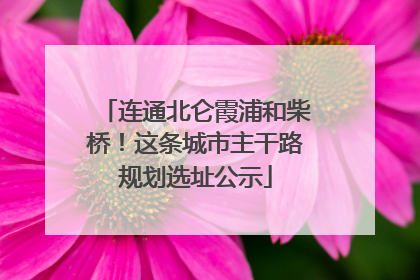 连通北仑霞浦和柴桥！这条城市主干路规划选址公示