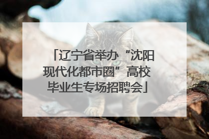 辽宁省举办“沈阳现代化都市圈”高校毕业生专场招聘会