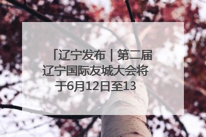 辽宁发布｜第二届辽宁国际友城大会将于6月12日至13日在沈阳举办