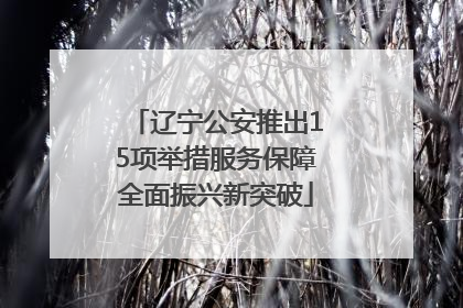 辽宁公安推出15项举措服务保障全面振兴新突破