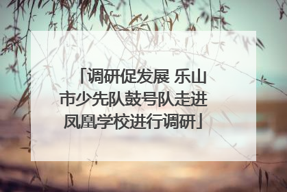 调研促发展 乐山市少先队鼓号队走进凤凰学校进行调研