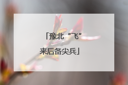 豫北“飞”来后备尖兵