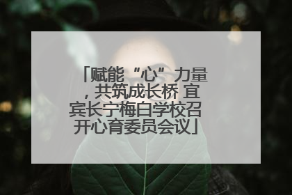 赋能“心”力量，共筑成长桥 宜宾长宁梅白学校召开心育委员会议