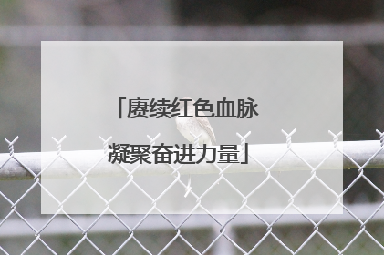 赓续红色血脉 凝聚奋进力量