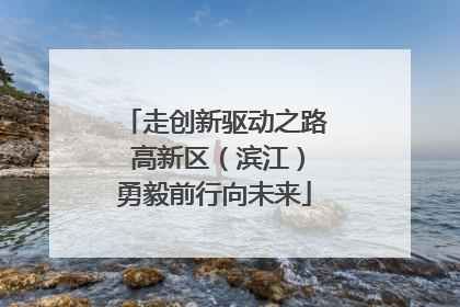 走创新驱动之路 高新区（滨江）勇毅前行向未来