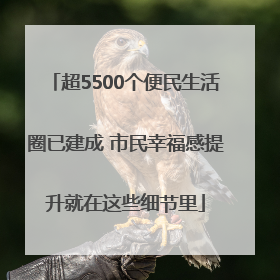 超5500个便民生活圈已建成 市民幸福感提升就在这些细节里