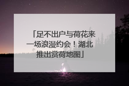 足不出户与荷花来一场浪漫约会！湖北推出赏荷地图