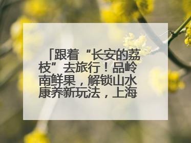 跟着“长安的荔枝”去旅行！品岭南鲜果，解锁山水康养新玩法，上海3小时直飞，自驾高速费优惠