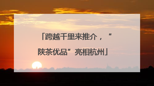 跨越千里来推介，“陕茶优品”亮相杭州