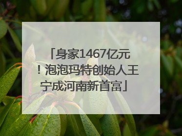 身家1467亿元！泡泡玛特创始人王宁成河南新首富