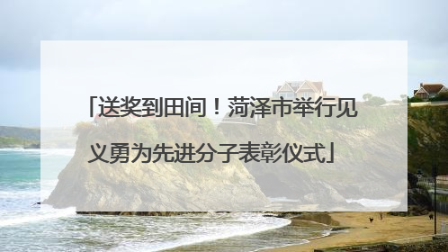 送奖到田间！菏泽市举行见义勇为先进分子表彰仪式