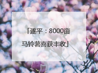 遂平：8000亩马铃薯喜获丰收