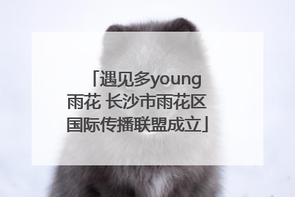 遇见多young雨花 长沙市雨花区国际传播联盟成立