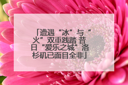 遭遇“冰”与“火”双重践踏 昔日“爱乐之城”洛杉矶已面目全非