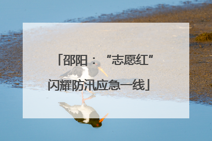 邵阳：“志愿红”闪耀防汛应急一线