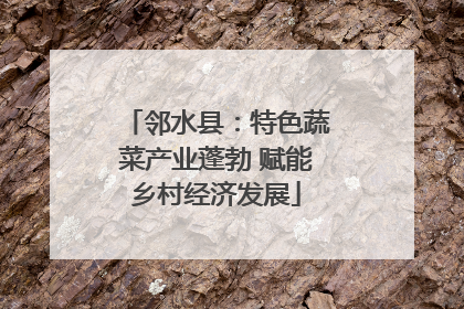 邻水县：特色蔬菜产业蓬勃 赋能乡村经济发展