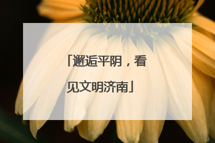 邂逅平阴，看见文明济南