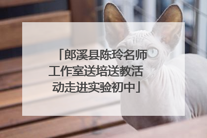 郎溪县陈玲名师工作室送培送教活动走进实验初中