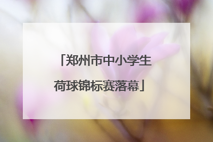郑州市中小学生荷球锦标赛落幕