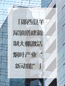 郧西县羊尾镇搭建调制大棚激活烟叶产业“新动能”