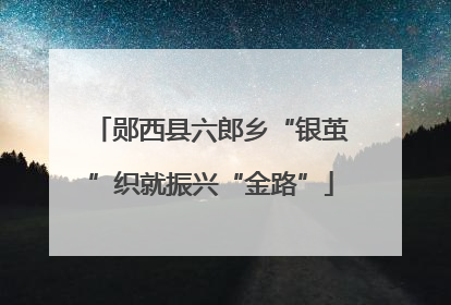郧西县六郎乡“银茧”织就振兴“金路”