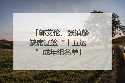 郭艾伦、张镇麟缺席辽篮“十五运”成年组名单