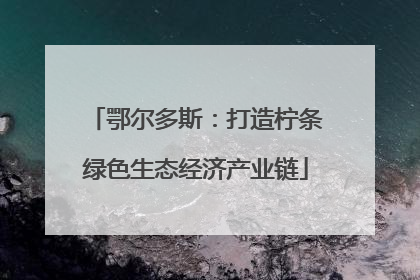 鄂尔多斯：打造柠条绿色生态经济产业链