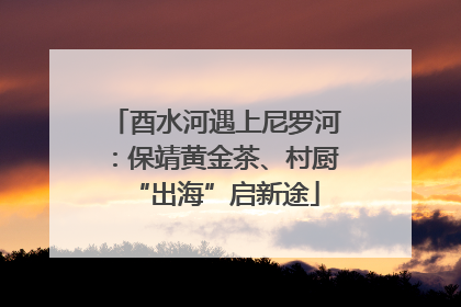 酉水河遇上尼罗河：保靖黄金茶、村厨“出海”启新途
