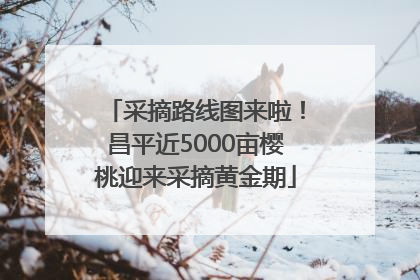 采摘路线图来啦！昌平近5000亩樱桃迎来采摘黄金期