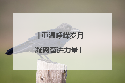 重温峥嵘岁月 凝聚奋进力量