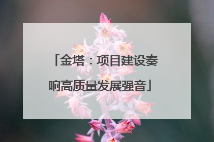 金塔：项目建设奏响高质量发展强音