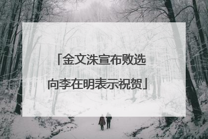 金文洙宣布败选 向李在明表示祝贺
