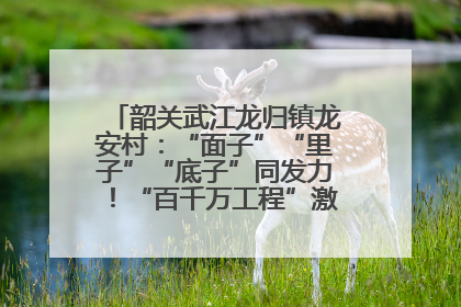 韶关武江龙归镇龙安村：“面子”“里子”“底子”同发力！“百千万工程”激活乡村新动能