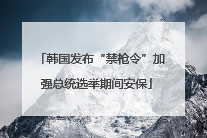 韩国发布“禁枪令”加强总统选举期间安保