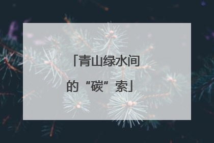 青山绿水间的“碳”索