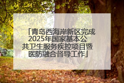 青岛西海岸新区完成2025年国家基本公共卫生服务疾控项目暨医防融合督导工作