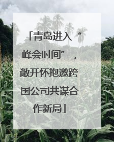 青岛进入“峰会时间”，敞开怀抱邀跨国公司共谋合作新局