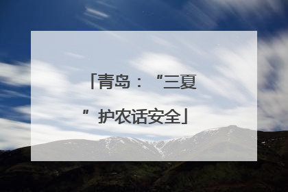 青岛：“三夏”护农话安全