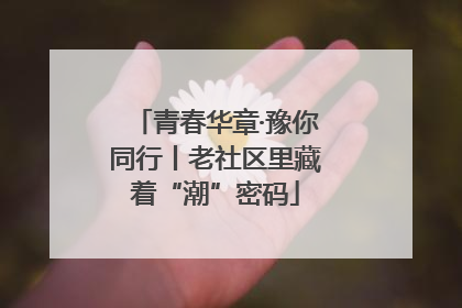 青春华章·豫你同行丨老社区里藏着“潮”密码