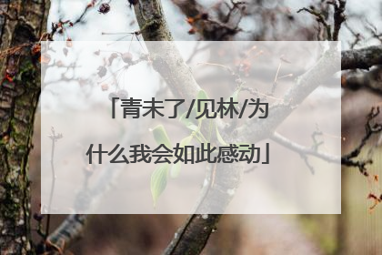 青未了/见林/为什么我会如此感动