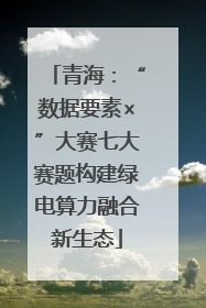 青海：“数据要素×”大赛七大赛题构建绿电算力融合新生态
