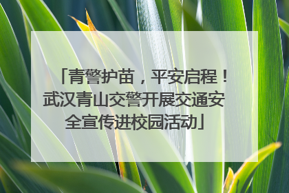 青警护苗，平安启程！武汉青山交警开展交通安全宣传进校园活动