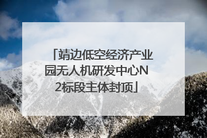 靖边低空经济产业园无人机研发中心N2标段主体封顶