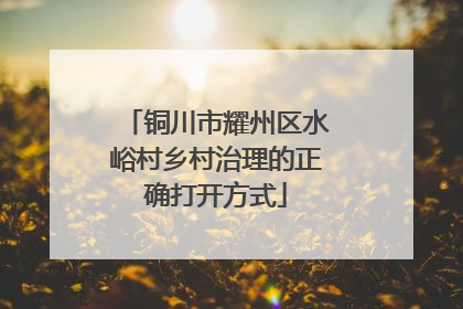 铜川市耀州区水峪村乡村治理的正确打开方式