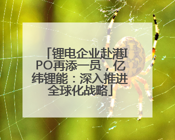 锂电企业赴港IPO再添一员，亿纬锂能：深入推进全球化战略